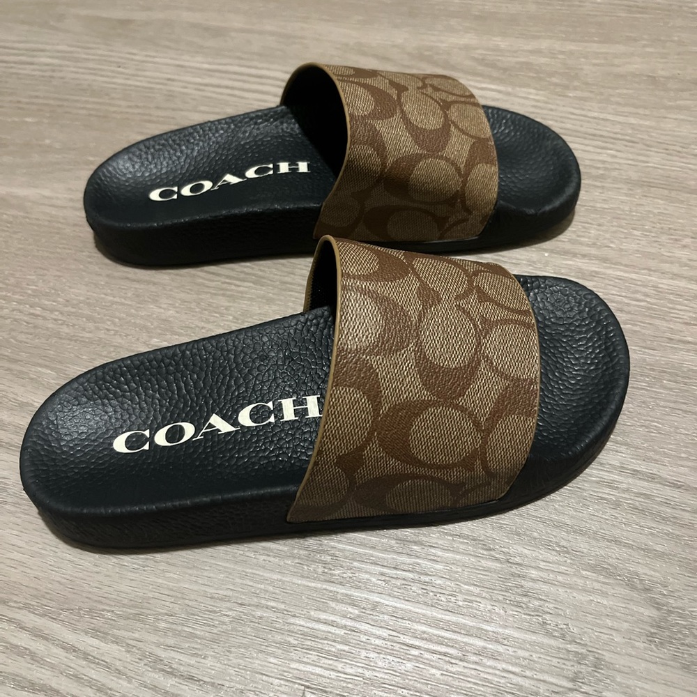 Brown and Black Coach slides.
